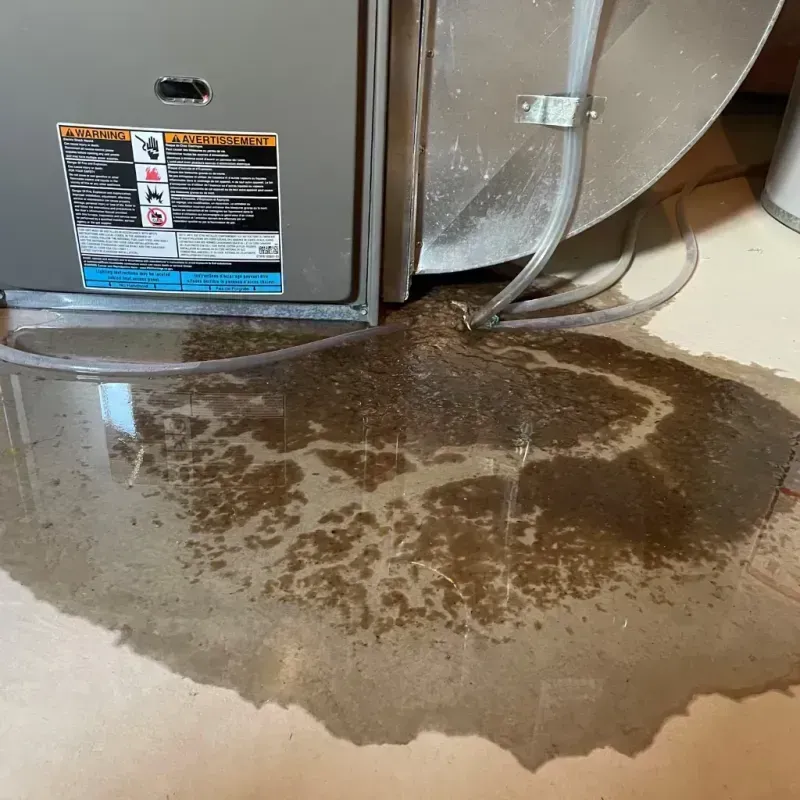 Appliance Leak Cleanup in Runaway Bay, TX